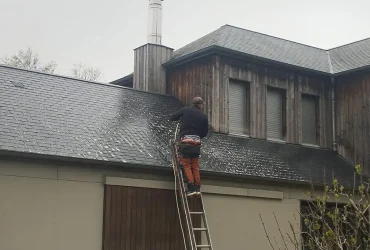 demoussage toiture monteaux 41
